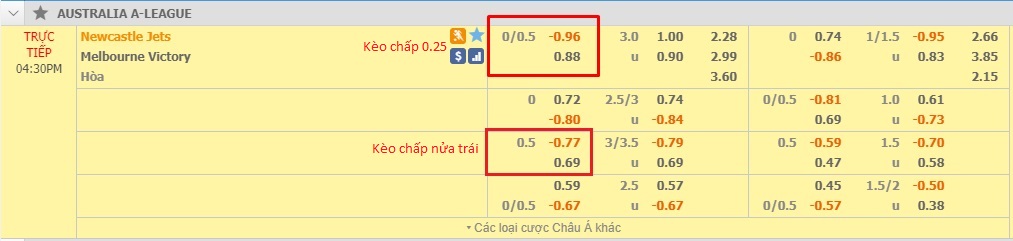Kèo Chấp Nửa Trái 02 (1)