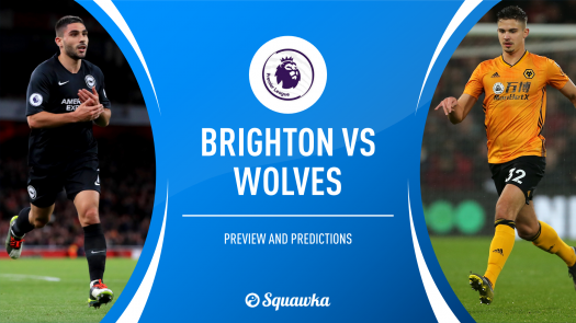 Brighton Wolves Preview